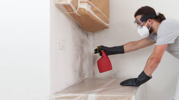 Professional Basement Mold Remediation technician working in Brookfield, NJ