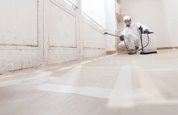 24/7 Emergency Basement Mold Remediation experts in Brookfield, NJ