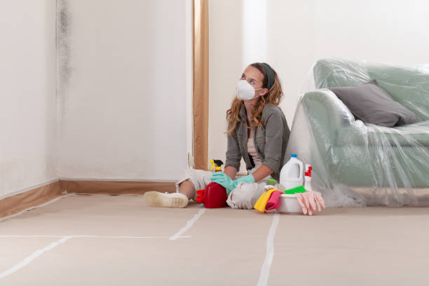 Reliable Basement Mold Remediation contractor in Brookfield, NJ by 24 Hour Mold Removal